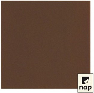 [4626-900] AP - Serviette Celi-ouate 40x40 couleurs vives / CT 900 (Chocolat)